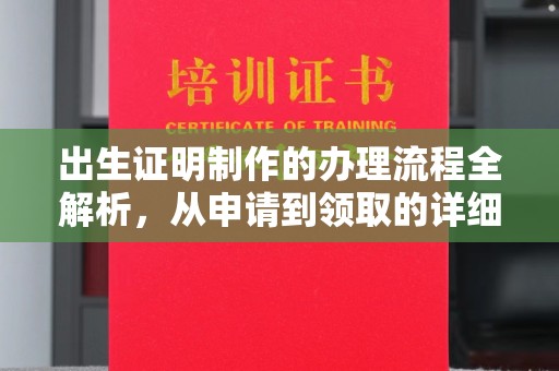 沙坡头出生证明制作的办理流程全解析，从申请到领取的详细指南